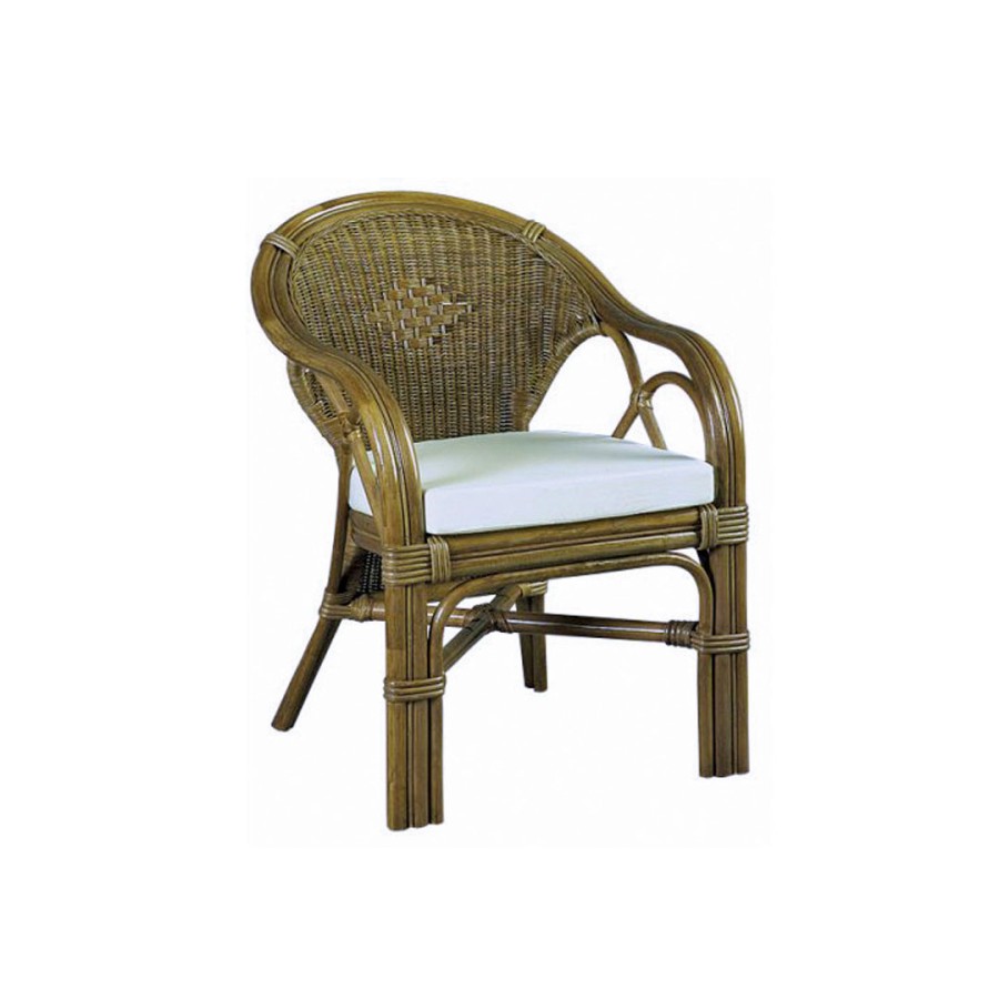 Bamboo C